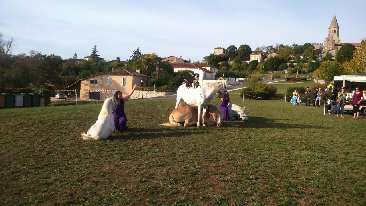 FETE MONTAUT les CRENEAUX . SPECT équestre 2017