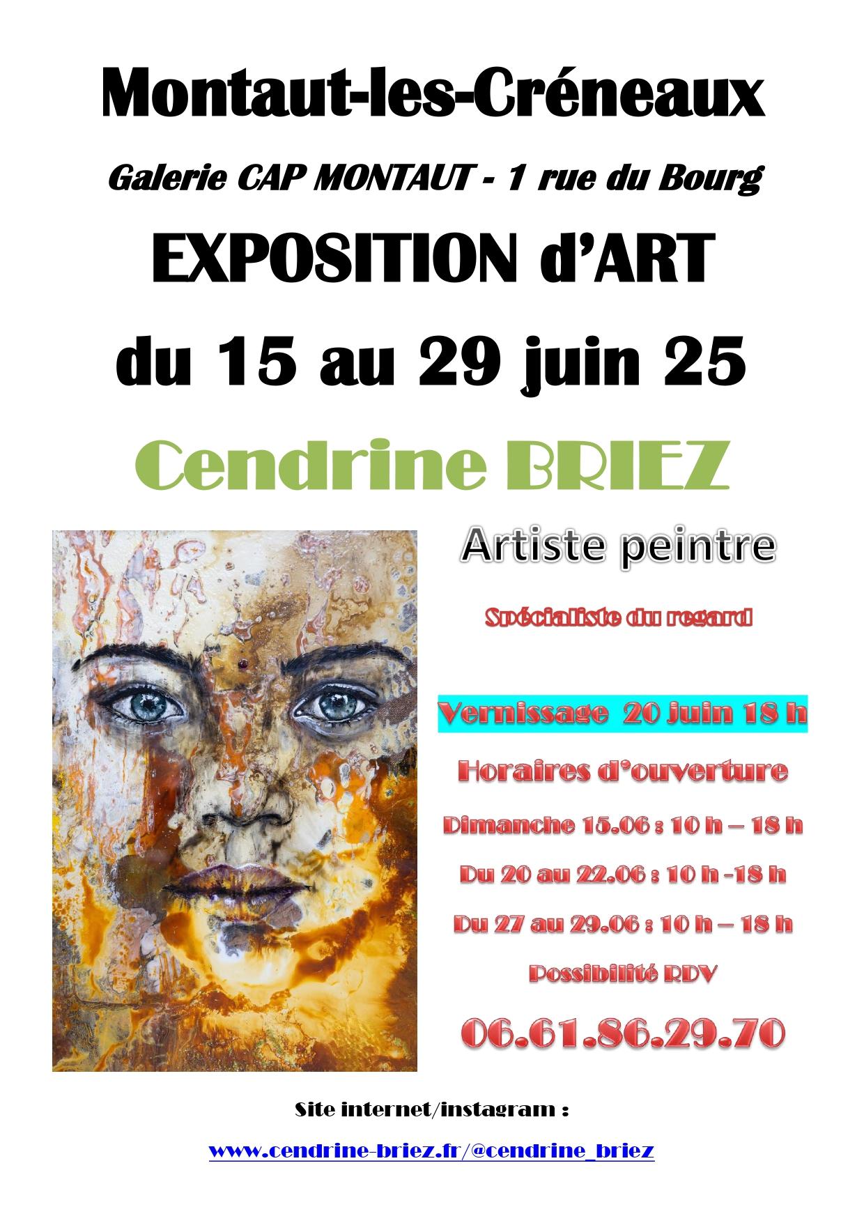 Affiche montaut briez